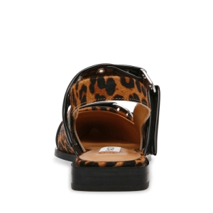  leopar
