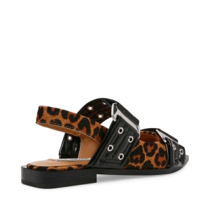  leopar