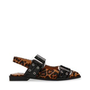  leopar