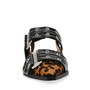  leopar