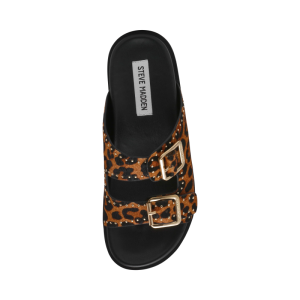 freelance-l leopard