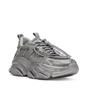 vault 2r silver