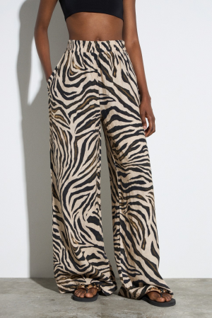  zebre