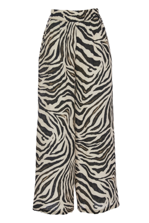  zebre