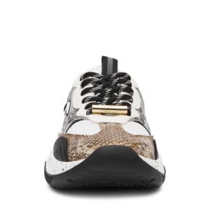 PREMIO-E LIGHT/BRONZE