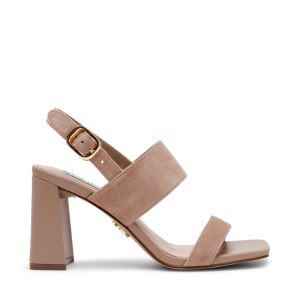 11005275 TAUPE
